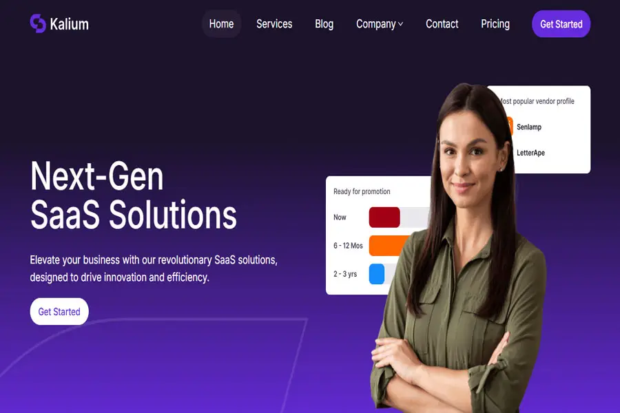 kalium-simple-digital-agency-theme